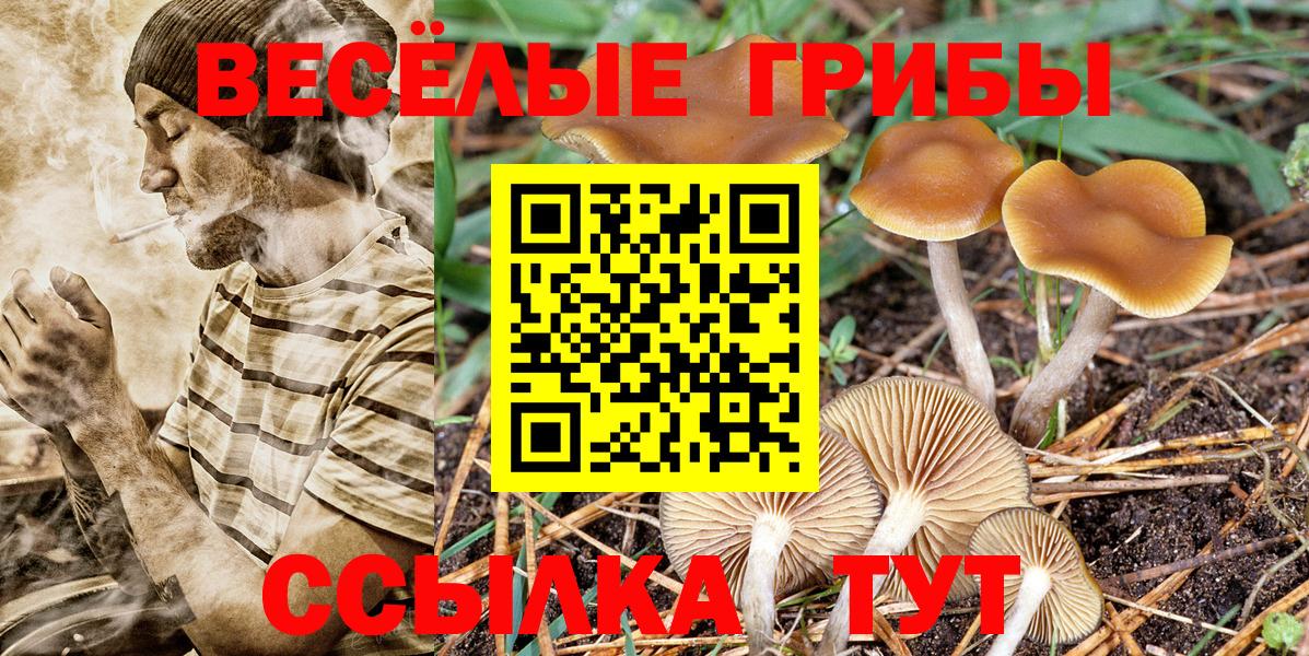 Галлюциногенные грибы Cubensis  Вход с VPN  Псилоцибиновые грибы Psilocybine cubensis  Вологда 