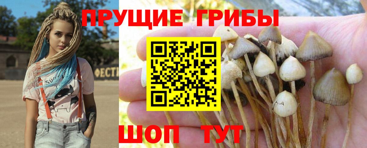 Галлюциногенные грибы GOLDEN TEACHER Вологда